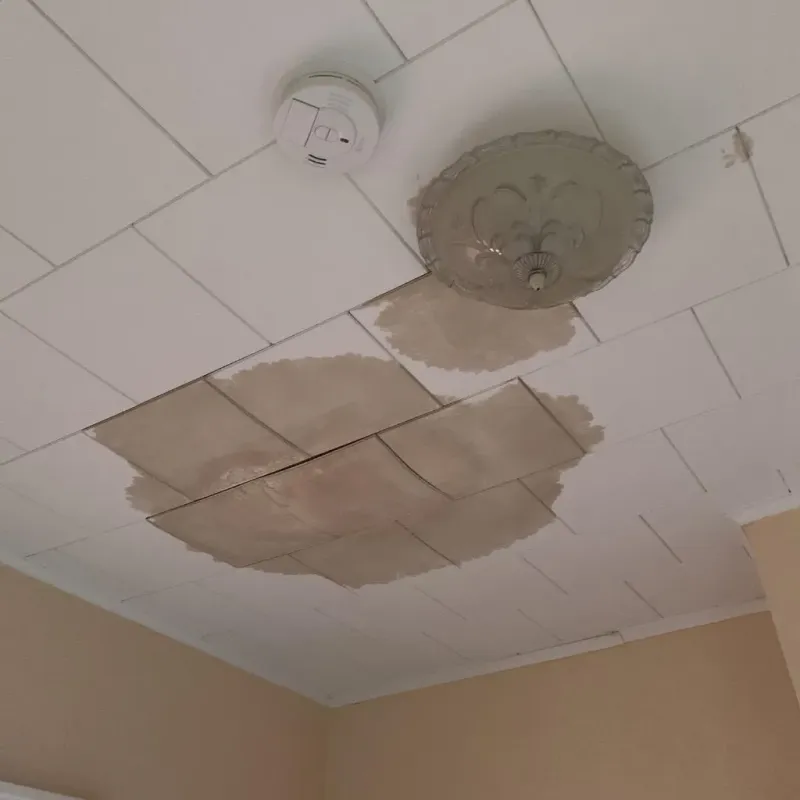 Ceiling Water Damage Repair in Monaca, PA