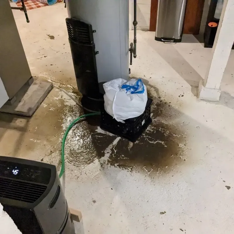 Sewage Backup Cleanup Service in Monaca, PA